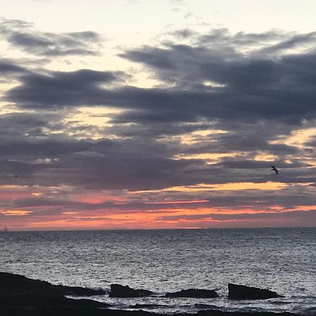 贝尔斯坦住宿加早餐旅馆 Cellardyke 外观 照片