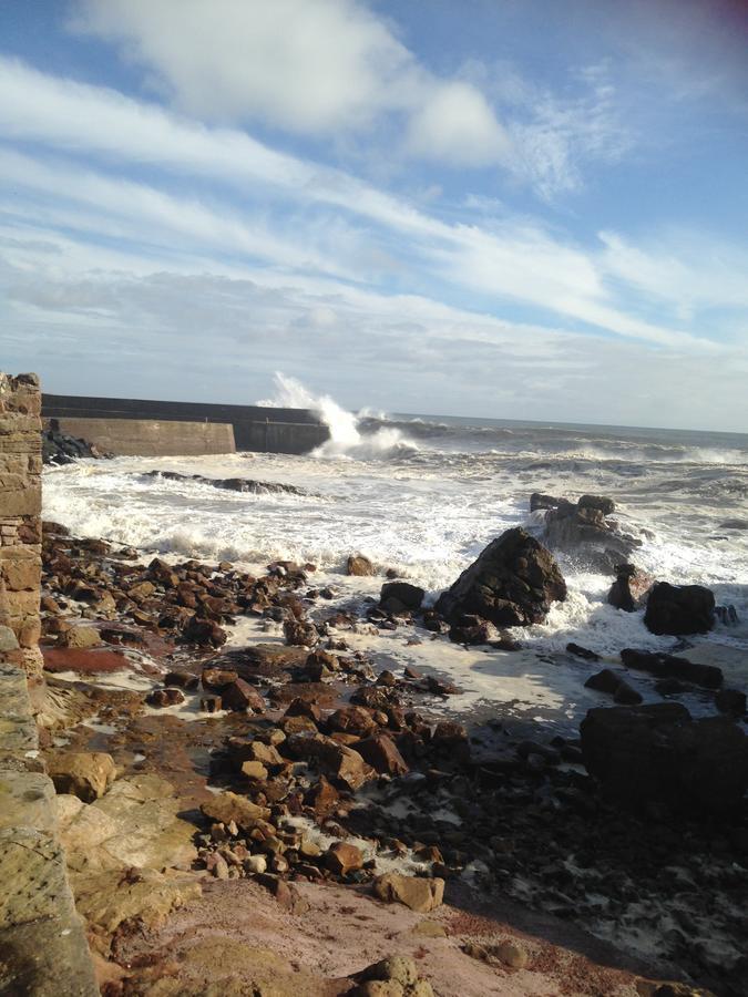 贝尔斯坦住宿加早餐旅馆 Cellardyke 外观 照片